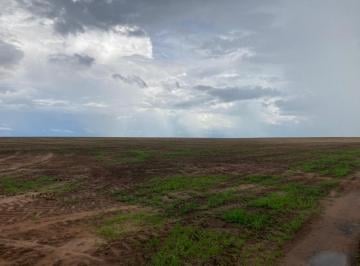 Rural de 2 quartos, Brasnorte · Fazenda em Brasnorte/MT com 563 hectares Dupla aptidão