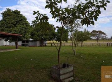 Foto 01 · Fazenda à venda em Bataguassu-MS: 621 alqueires de área. Confira já!