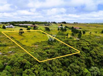 Terreno · 20557m² · Terreno São Luiz do Purunã
