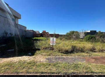 Foto 01 · TERRENO À VENDA NO JARDIM PARANÁ EM ARAPONGAS.