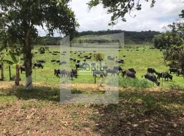Rural · 49409m² · 3 Quartos · 20 Vagas · Fazenda Mista Iguape - SP