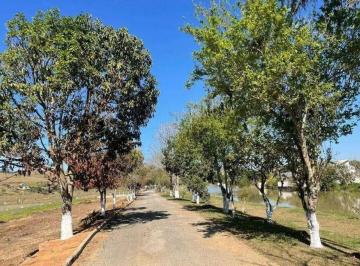 Rural de 2 quartos, São Sebastião da Bela Vista · Chácara à venda Condomínio Bela Vista I 