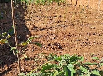 Terreno · 302m² · Terreno à venda no Parque das Paineiras
