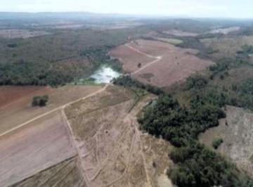 Rural , Nova Brasilândia · LEILÃO EXCLUSIVO: Faz São Luís - Nova Brasilândia/MT, área total: 1.791,0763ha.