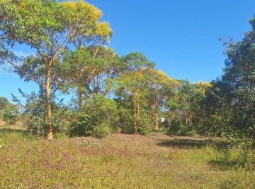 13927_i4wP1ul5582tn155Y4_13927689618119adbc.jpg · Imoveis - na Chapada dos Guimarães