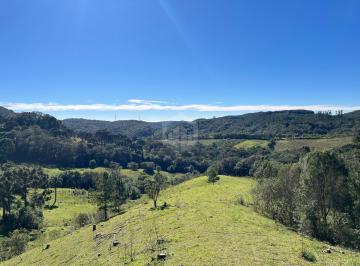 Terreno · 20000m² · Terrenos à venda - SAO LUIZ DO PURUNA - PR
