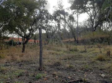 Terreno · 2907m² · Terreno à venda em Campinas, Chácara Belvedere, com 2907 m²