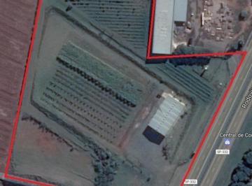Terreno · 36954m² · Área à venda em Artur Nogueira, Sítio Novo, com 36954 m²