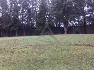 Comercial · 1077m² · Terreno à venda em Campinas, Alphaville Dom Pedro, com 1077 m², Alpha Business