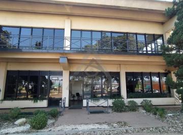 Comercial · 1128m² · Prédio à venda e para alugar em Campinas, Jardim do Trevo, com 1128 m²