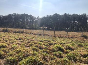 Terreno · 8647m² · Terreno à venda em Paulínia, João Aranha, com 8647 m²