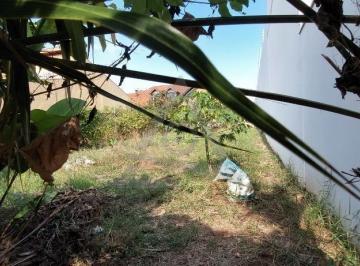 Terreno · 390m² · Terreno à venda em Campinas, Parque São Quirino, com 390 m²