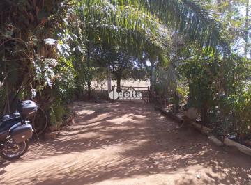 Rural · 5000m² · 2 Quartos · Chácara disponível para venda na Zona Rural de Uberlândia em Uberlândia-MG.