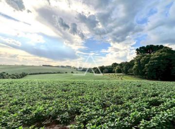 Rural · CHACARA / ÁREA DE TERRA  A VENDA EM ERNESTINA - RINCÃO DO PESSEGUEIRO