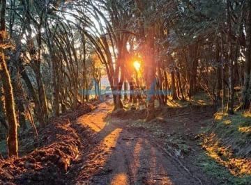 Rural · 20000m² · Chácara à venda no bairro Centro - Urubici/SC
