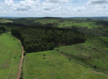 Rural , Cocalzinho de Goiás · FAZENDA CACHOEIRAS DE  BOA VISTA COM 691 ha – COCALZINHO DE GOIÁS - GIRASSOL/GO