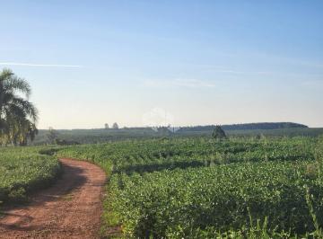 706589_i98c38IDYjk8G1Bh_706589689a4e750b450.jpg · FAZENDA 250 HA  proximo a Porto Alegre