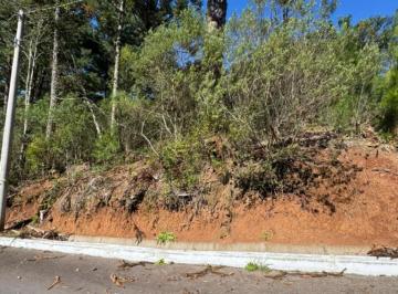 283821.jpg · Terreno - Bairro Dutra