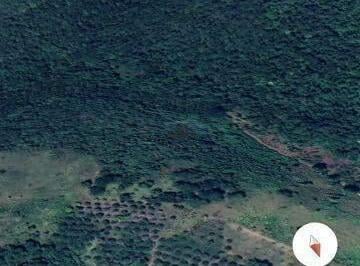 Rural · 75000m² · Fazenda com 75 hectares