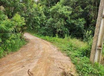 Rural · 24200m² · Chácara medindo 24.200 m² em Campo Largo- São João