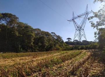Terreno · 12700m² · Excelente Chácara 12.700m²- Alm. Tamandaré- Centro