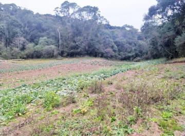Comercial · 121000m² · Área para formar chácara com 121.000m²