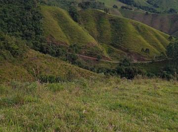 Rural · 169400m² · 7 Alqueires em Rio Branco do Sul - Paraná