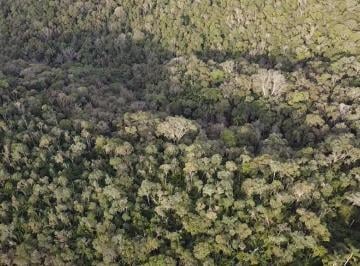 Rural · 63000m² · Chácara 63.000 m em Campo Magro- Paraná