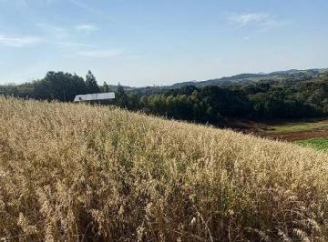 Comercial · 95685m² · Chácara em Campo magro - 95.685m²