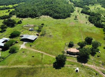 Fazenda, venda, Colina do Sul, Goiás · Fazenda, venda, Colina do Sul, Goiás, 2.468 Hectares, Top, Fazenda