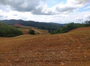 Rural · 48400m² · Fazenda / Sítio / Chácara à venda, 48400m² - Pacot