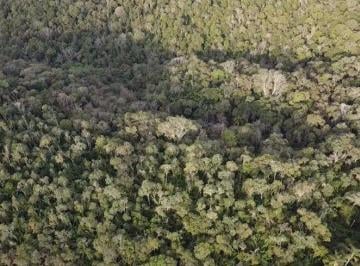 Rural · 63000m² · Chácara 63.000 m em Campo Magro- Paraná