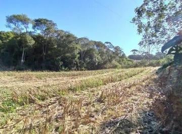 Rural · 12700m² · Fazenda/Sítio à Venda, 12700 m² por R$ 420.000