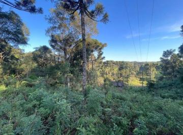 Comercial · 5500m² · Chácara em Almirante Tamandaré, Paraná