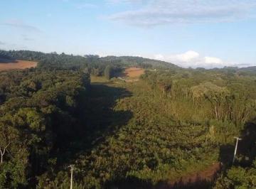 Rural · 44000m² · Fazenda / Sítio / Chácara à venda, 44000m² - Area