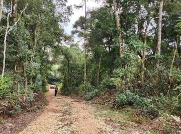 Rural · 147620m² · Fazenda / Sítio / Chácara à venda, 147620m² - Marm