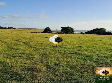 Rural · 1000ha · Vende-se Fazenda e Área Ruralem Rio Grande RS Soja Pecuária