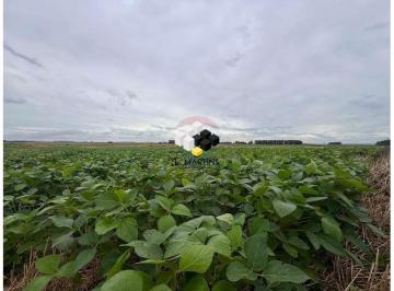 Rural · 264ha · Fazenda Rural Em São Gabriel Lavoura Soja e arroz 264 hectares
