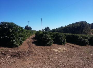 Foto 01 · Fazenda, Fazenda 690 Hectares, Lambari, MG