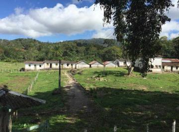 d4dc24348a2c21c7735ca6d4ab7698e6.jpeg · Fazenda / Sítios / Chácaras com 5 quartos à venda em Itajuípe, no bairro Rural Itajuipe