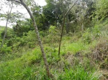 663d3a0915e472a5f8014ebf312d854b.jpg · Lote / Terreno à venda em Belo Horizonte, no bairro Buritis