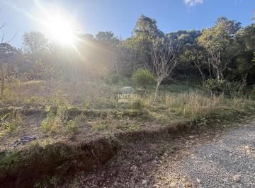 Foto 03 · Espetacular Sítio à Venda em Gramado-RS, Bairro Várzea Grande! 8.000m² de Pura Natureza Esperam por 