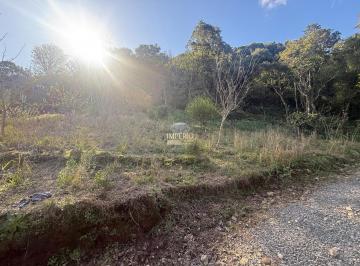 Foto 03 · Espetacular Sítio à Venda em Gramado-RS, Bairro Várzea Grande! 8.000m² de Pura Natureza Esperam por 