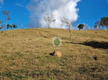 02e6b00911e452e9722b75c8a58f5850feebc120 · Terreno rural com boa topografia e terra fértil no bairro dos Rosas à venda, 72600 m² por R$ 600.000