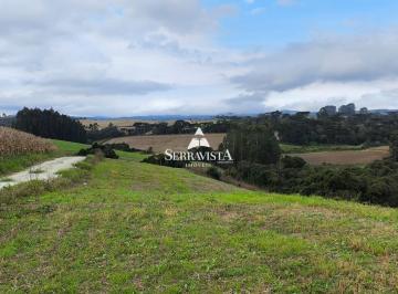 25225975_4.jpg · Terreno para chácara em Campo Alegre - 20.0000 m2