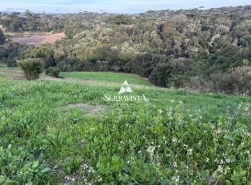 25314966_4.jpg · Terreno para chácara em Campo Alegre - 20.0000 m2