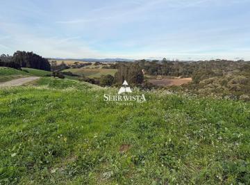 25314963_4.jpg · Terreno para chácara em Campo Alegre - 20.0000 m2