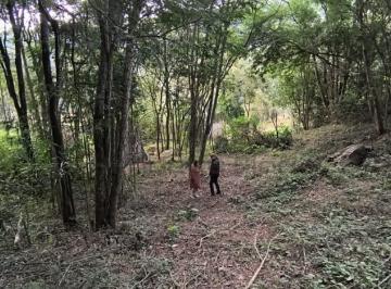 0 · Oportunidade de Terreno na Serra da Cantareira por apenas R$ 150.000,00!