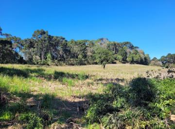 Foto 01 · Terreno, Avenquinha, Campo Alegre, SC
