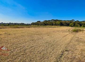 Rural , São José dos Pinhais · Chácara a Venda